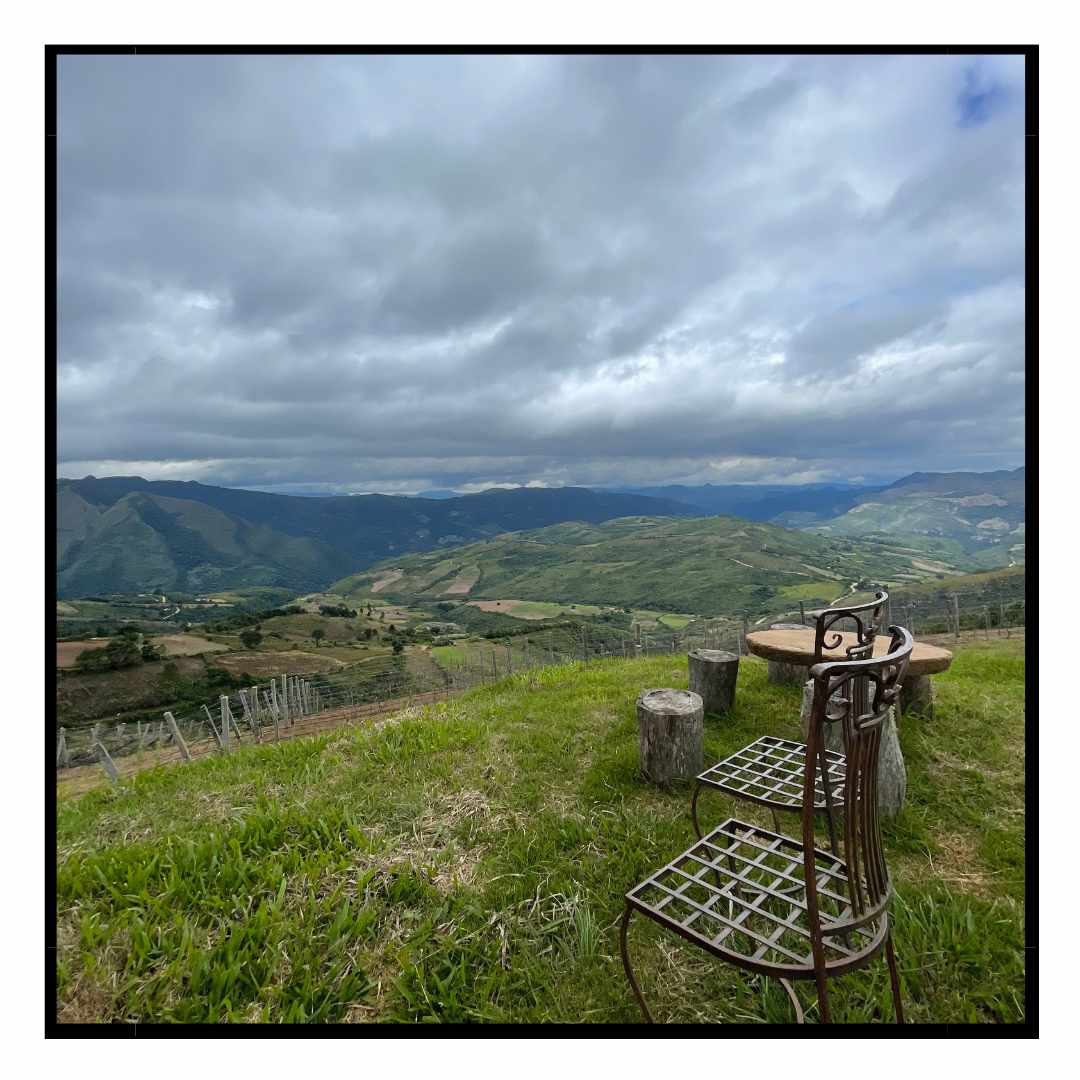 Quinta propiedad agrícola en VentaSAMAIPATA Foto 15