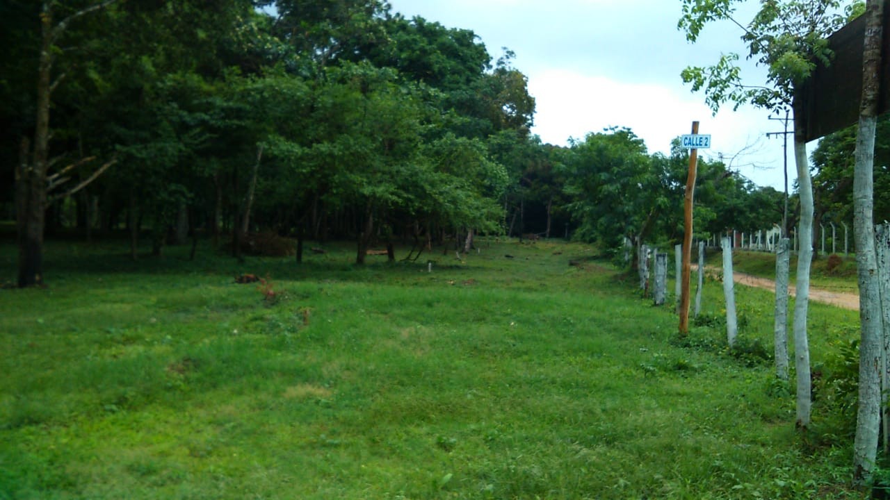 Terreno Buenavista - Resort Quintas Buena Vista Foto 11