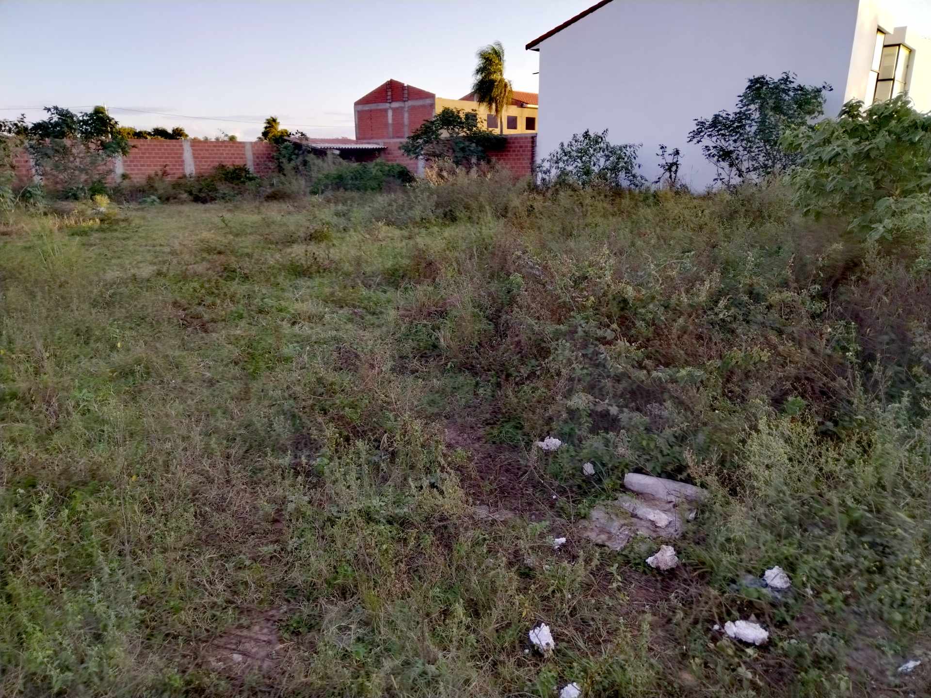 Terreno en Carretera Norte en Santa Cruz de la Sierra    Foto 4