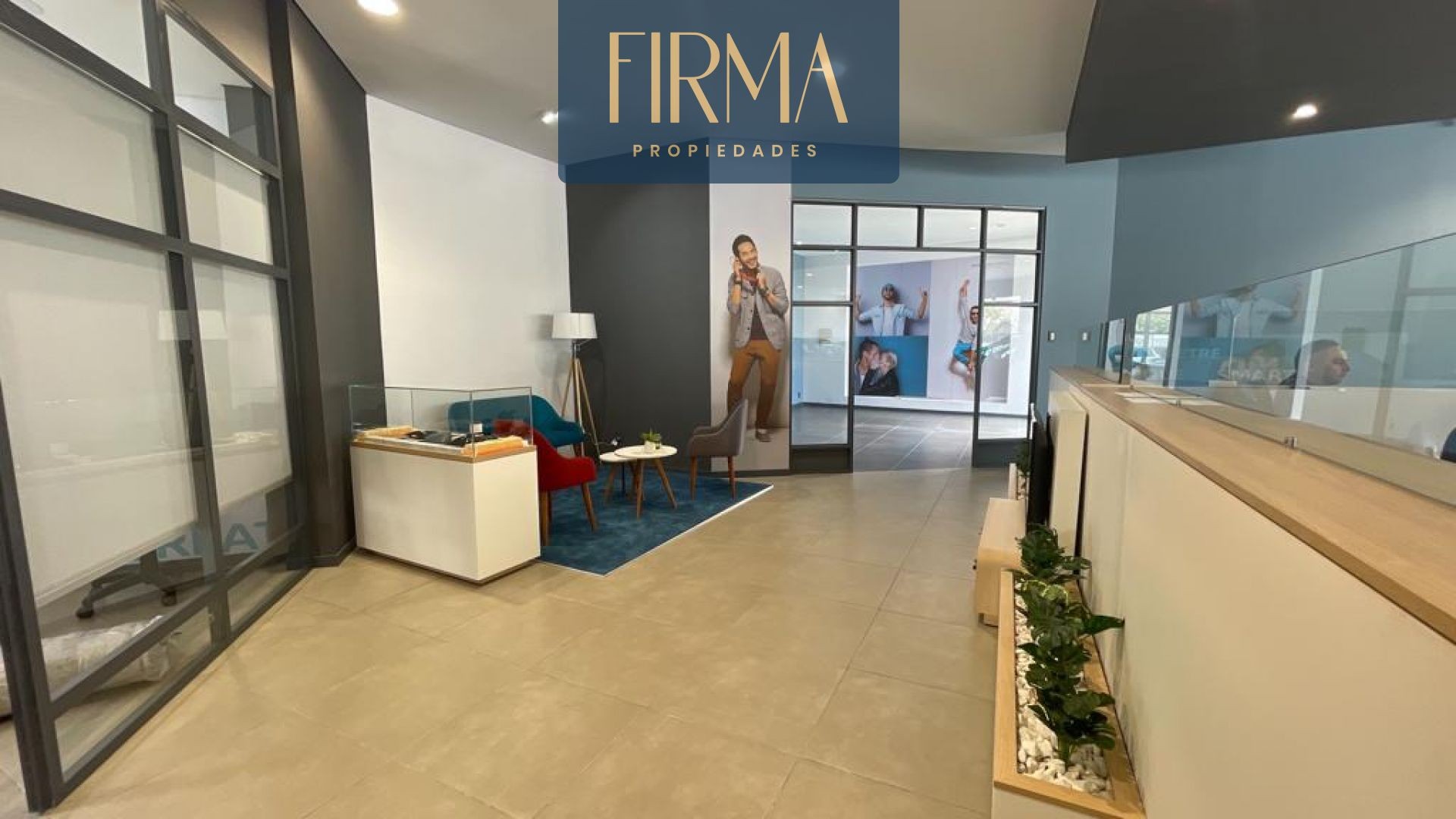 Local comercial LOCAL COMERCIAL EN CALACOTO LISTO PARA FUNCIONAR Foto 3