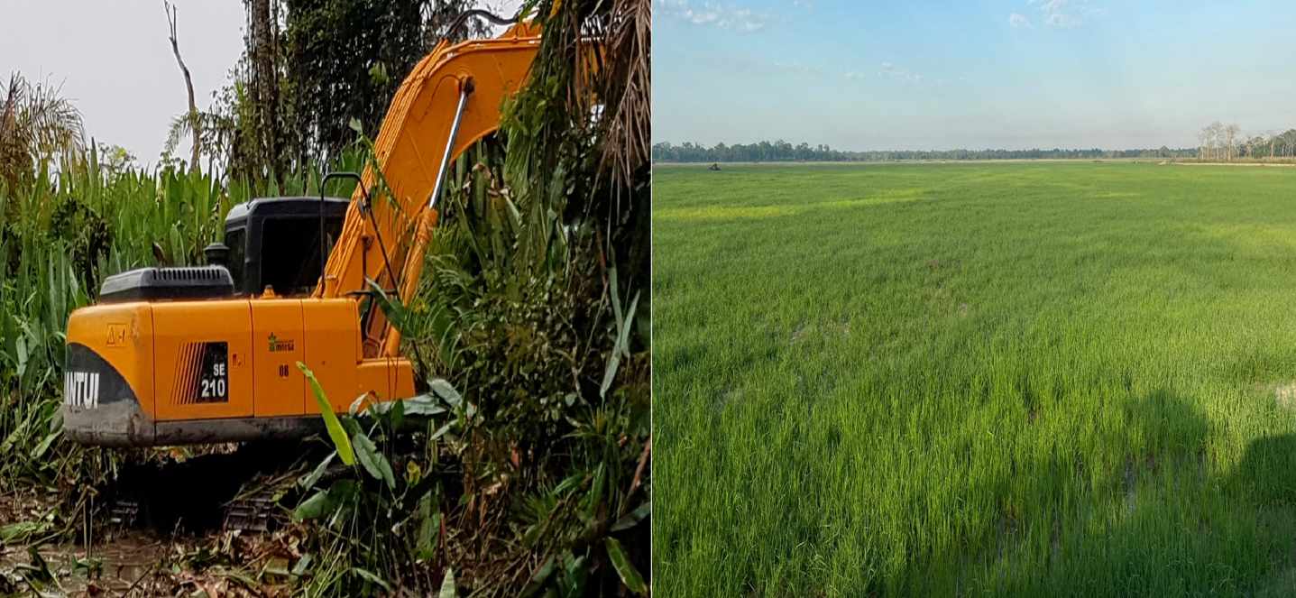 Quinta propiedad agrícola En Venta Propiedad Agrícola con Potencial Ganadero en Marban - Beni Foto 9
