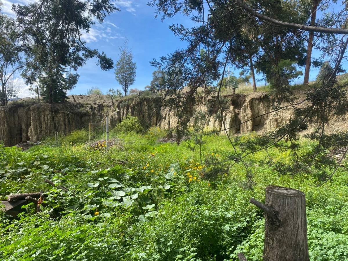 Terreno en Mallasilla en La Paz    Foto 5