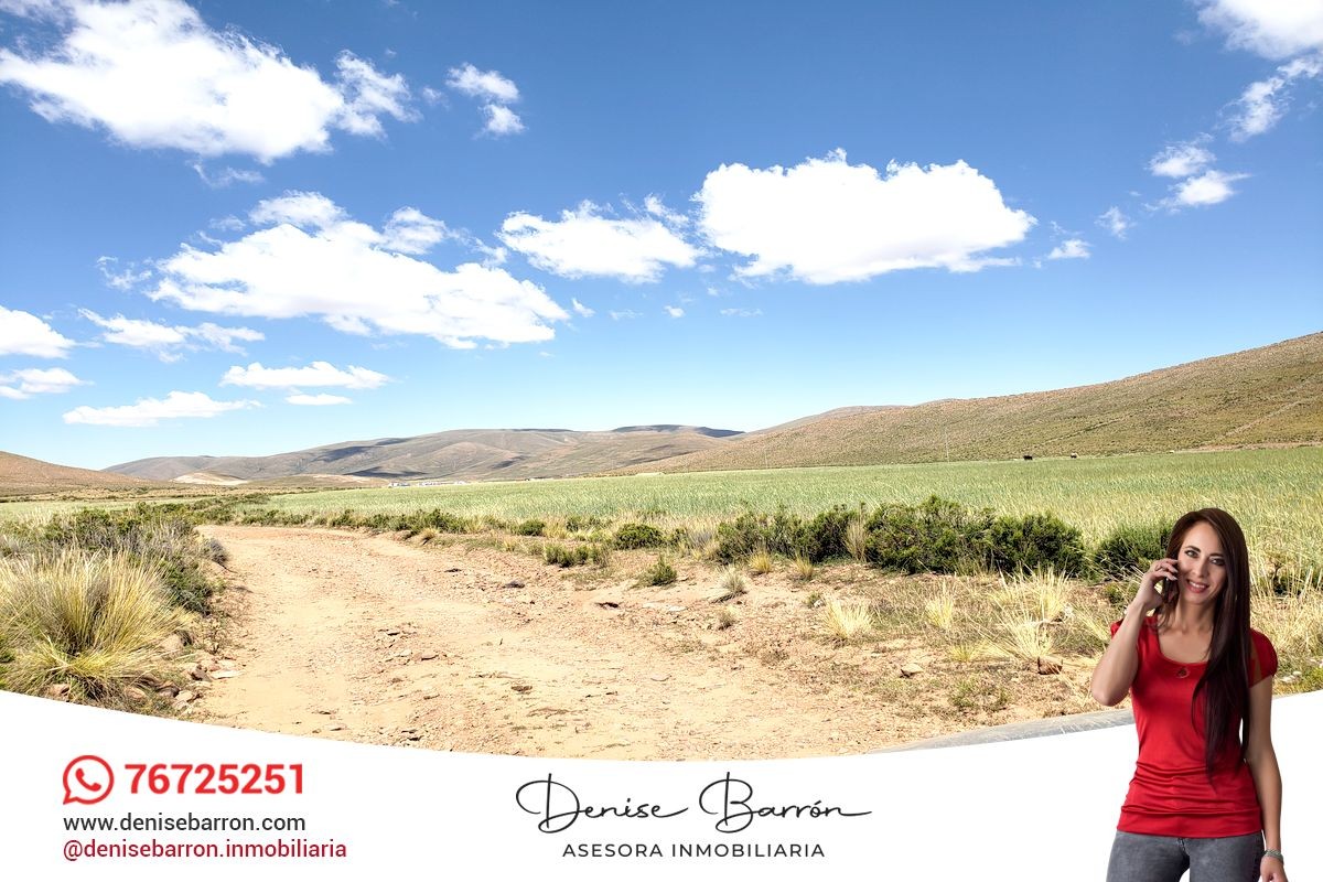 Terreno en VentaCARRETERA LA PAZ - ORURO, TERRENO EN VENTA EN VILA VILA    Foto 3