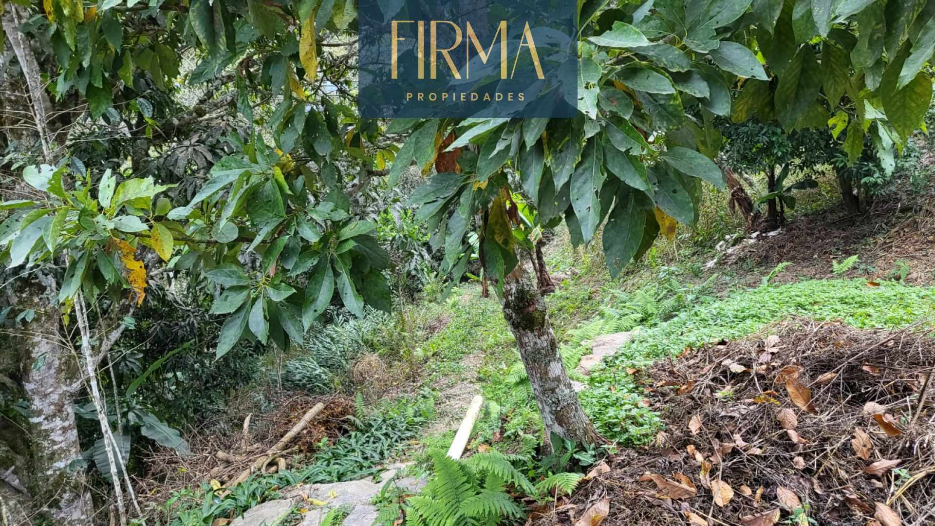 Terreno en Coroico en Coroico    Foto 8