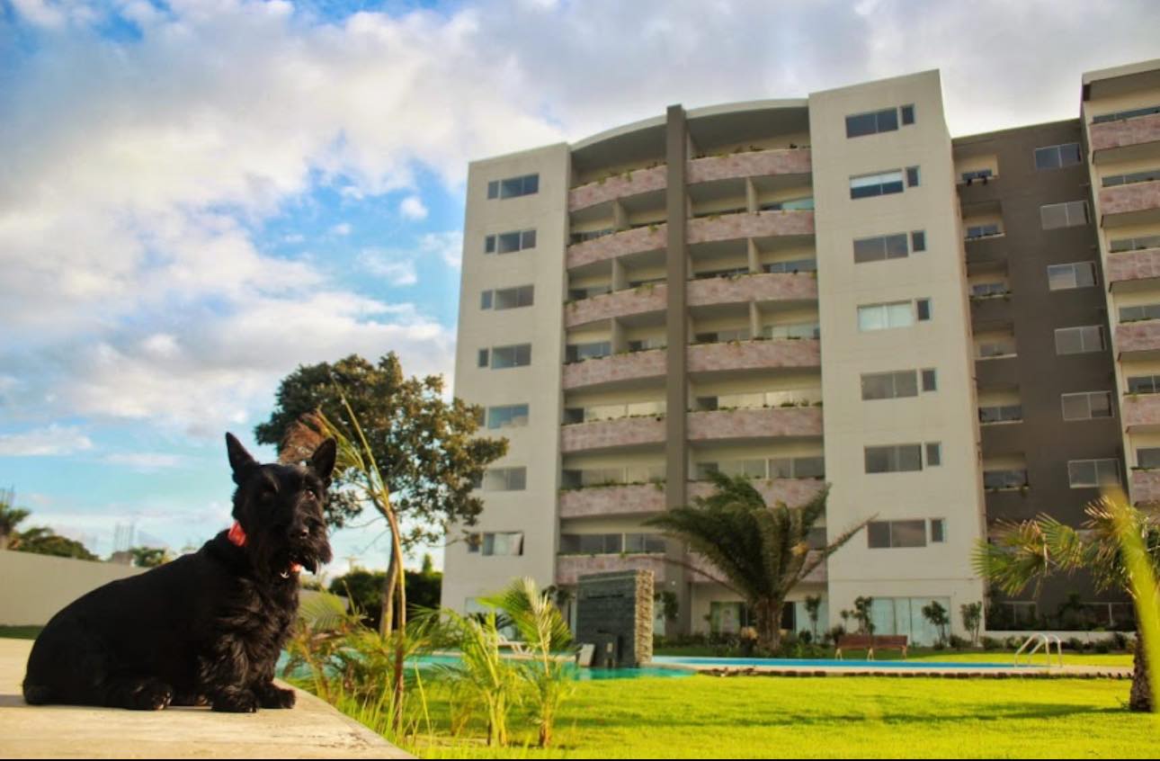 Departamento en Urubó en Santa Cruz de la Sierra 1 dormitorios 1 baños 1 parqueos Foto 1