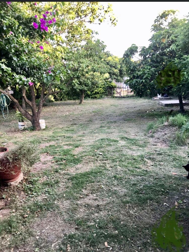 Casa en Entre 8vo y 9no anillo Norte en Santa Cruz de la Sierra 3 dormitorios 1 baños 5 parqueos Foto 6