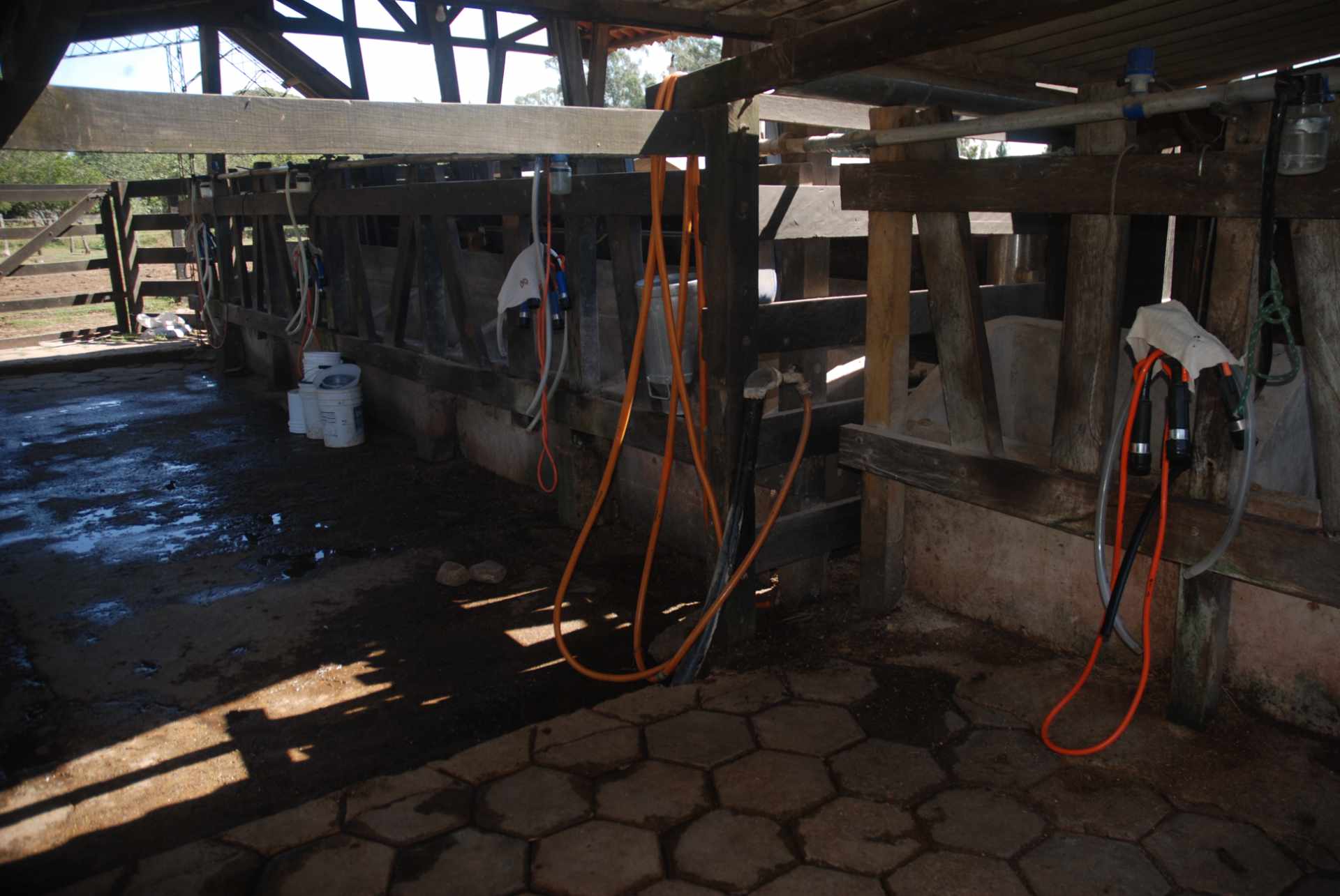 Quinta propiedad agrícola en Venta A 20mn de Warnes  vendo una Hermosa  Lecheria productiva  de 56ha  Foto 37