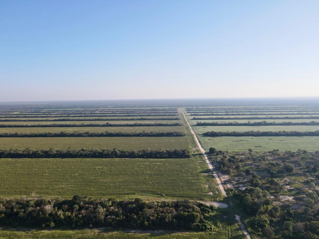 Quinta propiedad agrícola en VentaEn Venta: 2.300 Hectáreas Agrícola - Ganadera en Tres Cruces Foto 6