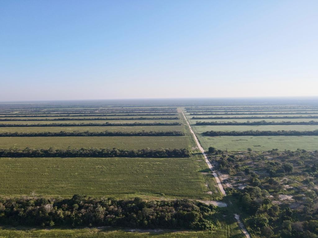 Quinta propiedad agrícola en Carretera Cotoca en Santa Cruz de la Sierra    Foto 6