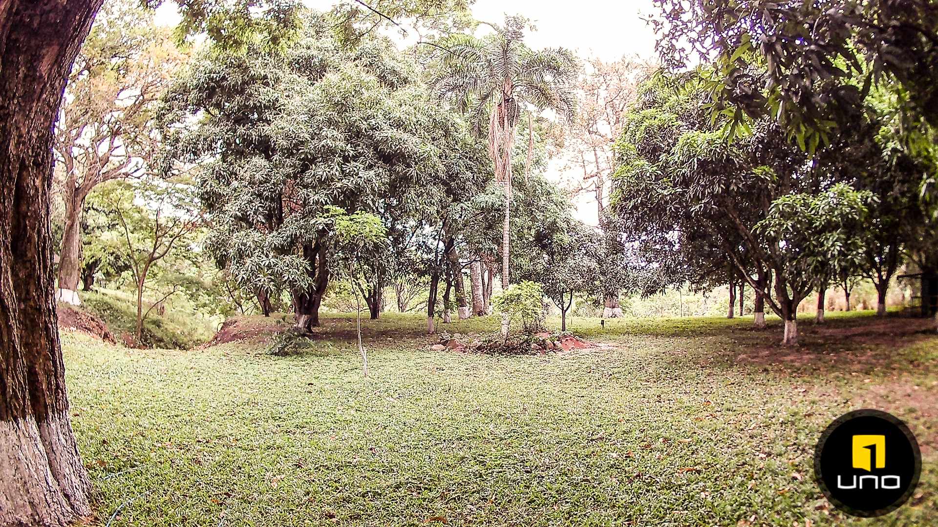 Quinta propiedad agrícola en Doble vía La Guardia en Santa Cruz de la Sierra    Foto 8