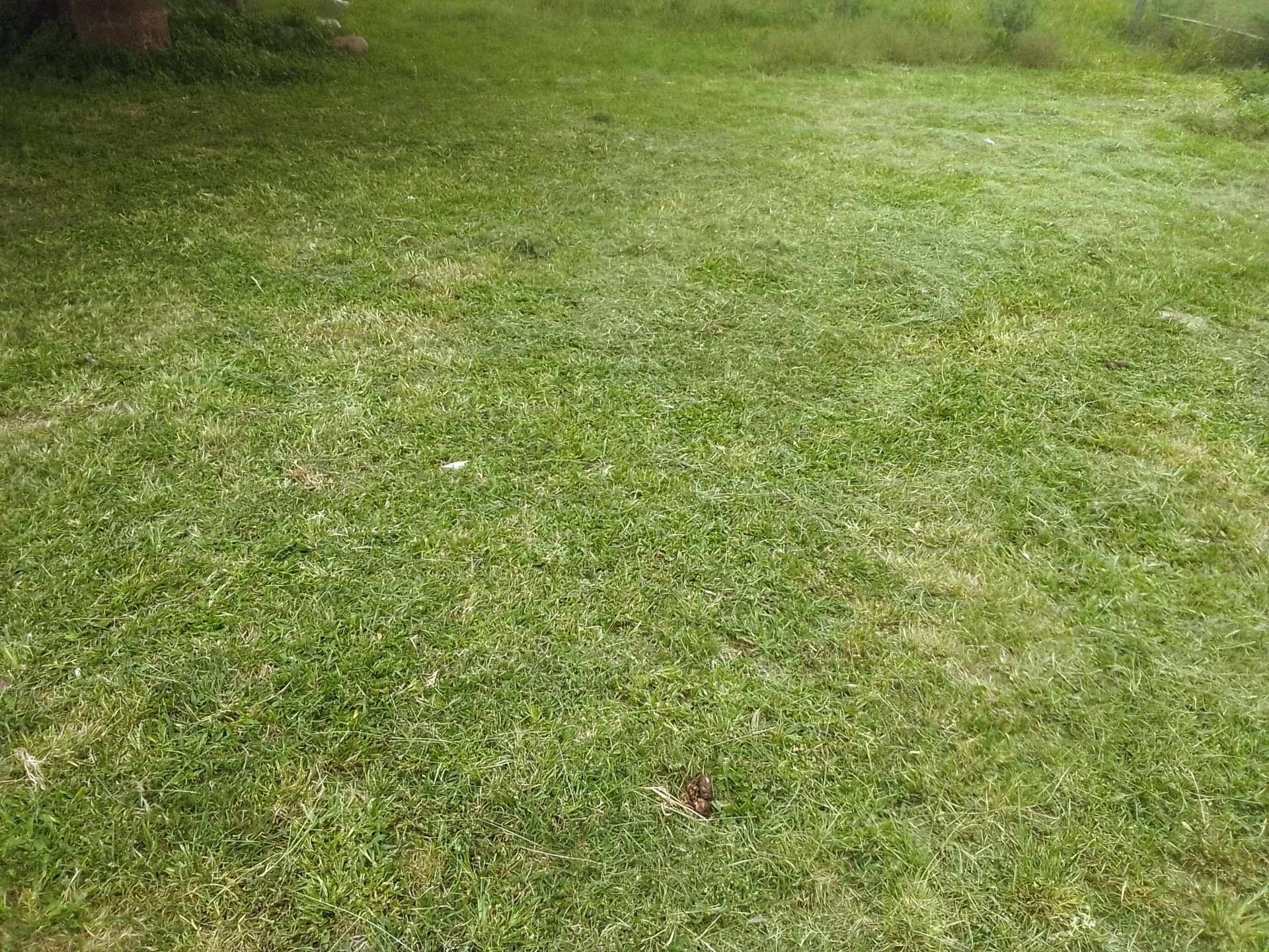 En Venta a $us 32,000 Foto 1