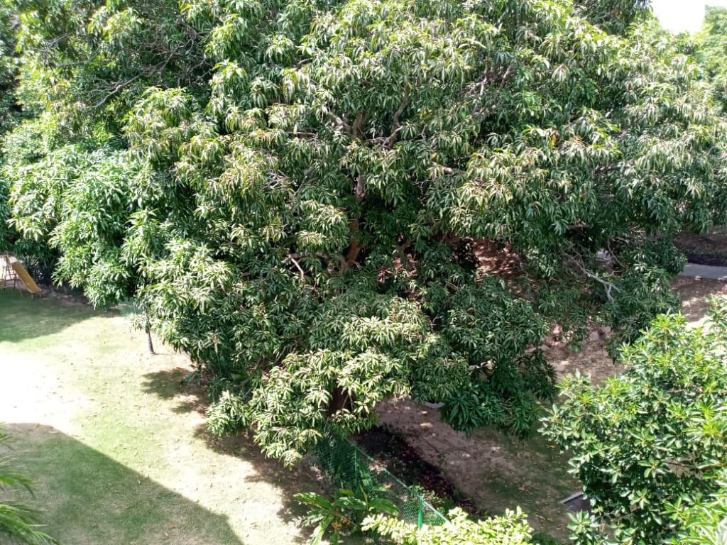 Casa en AlquilerBELLA CASA EN ALQUILER COND. JARDINES DEL URUBO I Foto 6