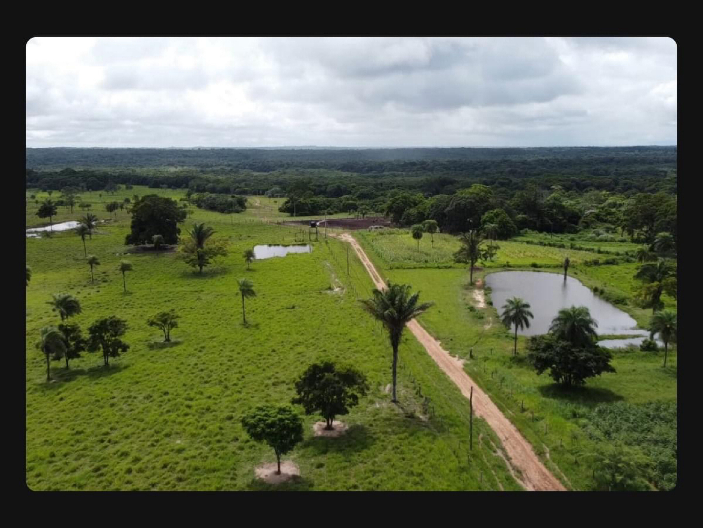 Quinta propiedad agrícola en VentaZona terebinto Foto 13