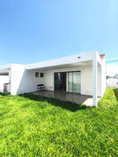 87c632c59468bd8b7c81b3b15373a3e0544731