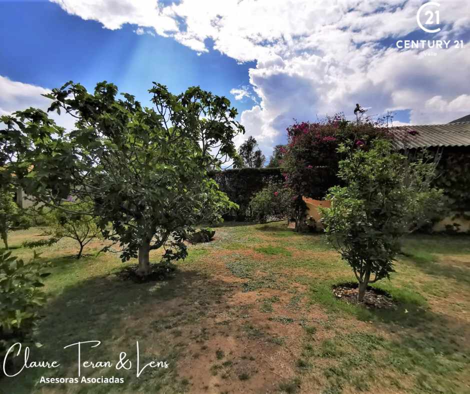 Quinta propiedad agrícola en VentaCASA DE CAMPO - APOTE - TIQUIPAYA - 3879 m2 de terreno Foto 16