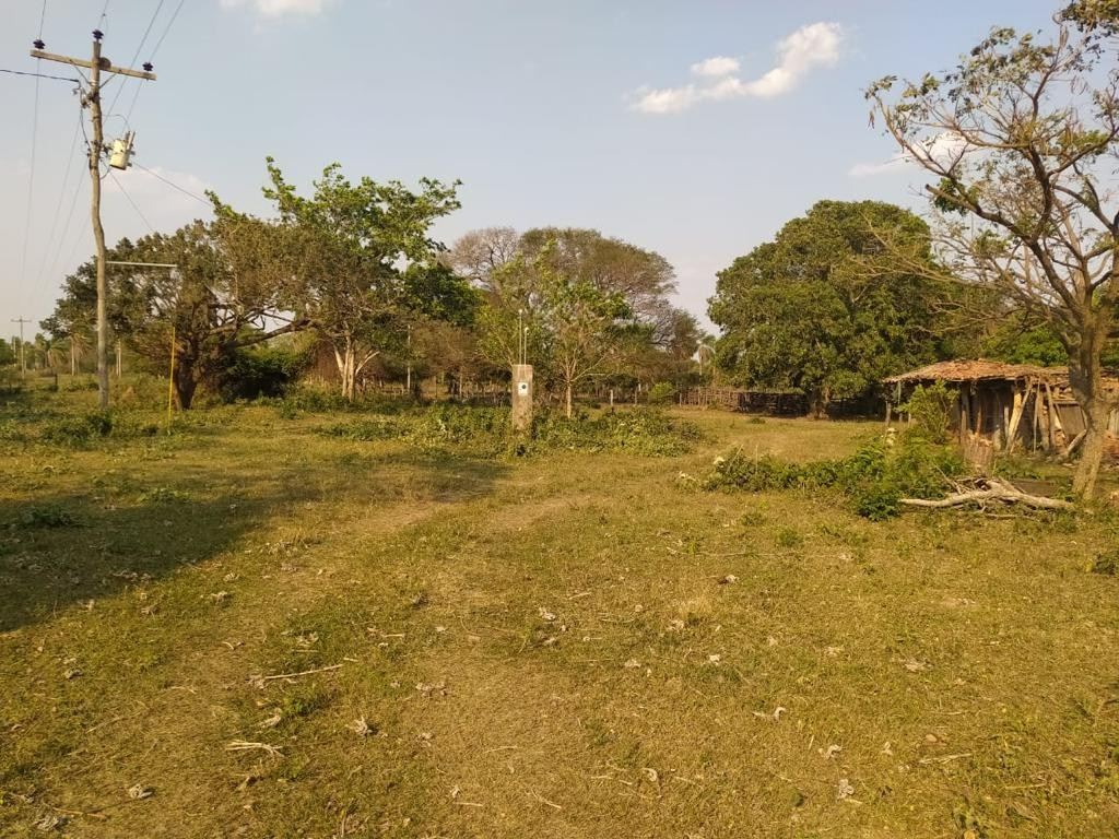 Terreno Warnes - PROPIEDAD GANADERA URBANIZABLE Foto 5