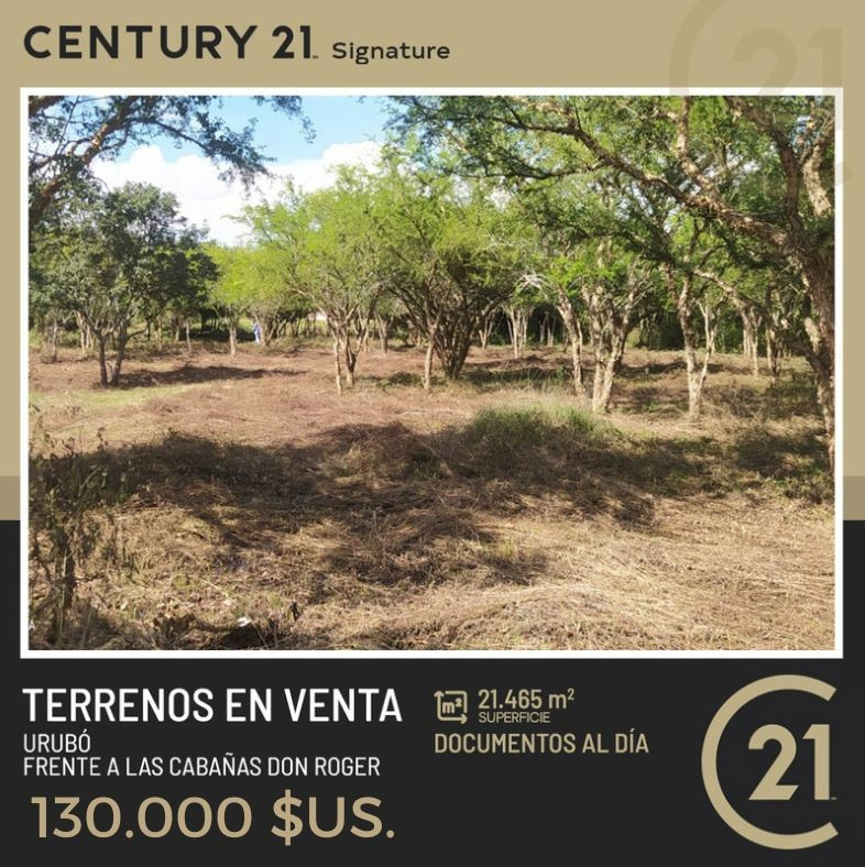 Quinta propiedad agrícola en VentaPROPIEDAD EN VENTA ZONA URUBO  Foto 1