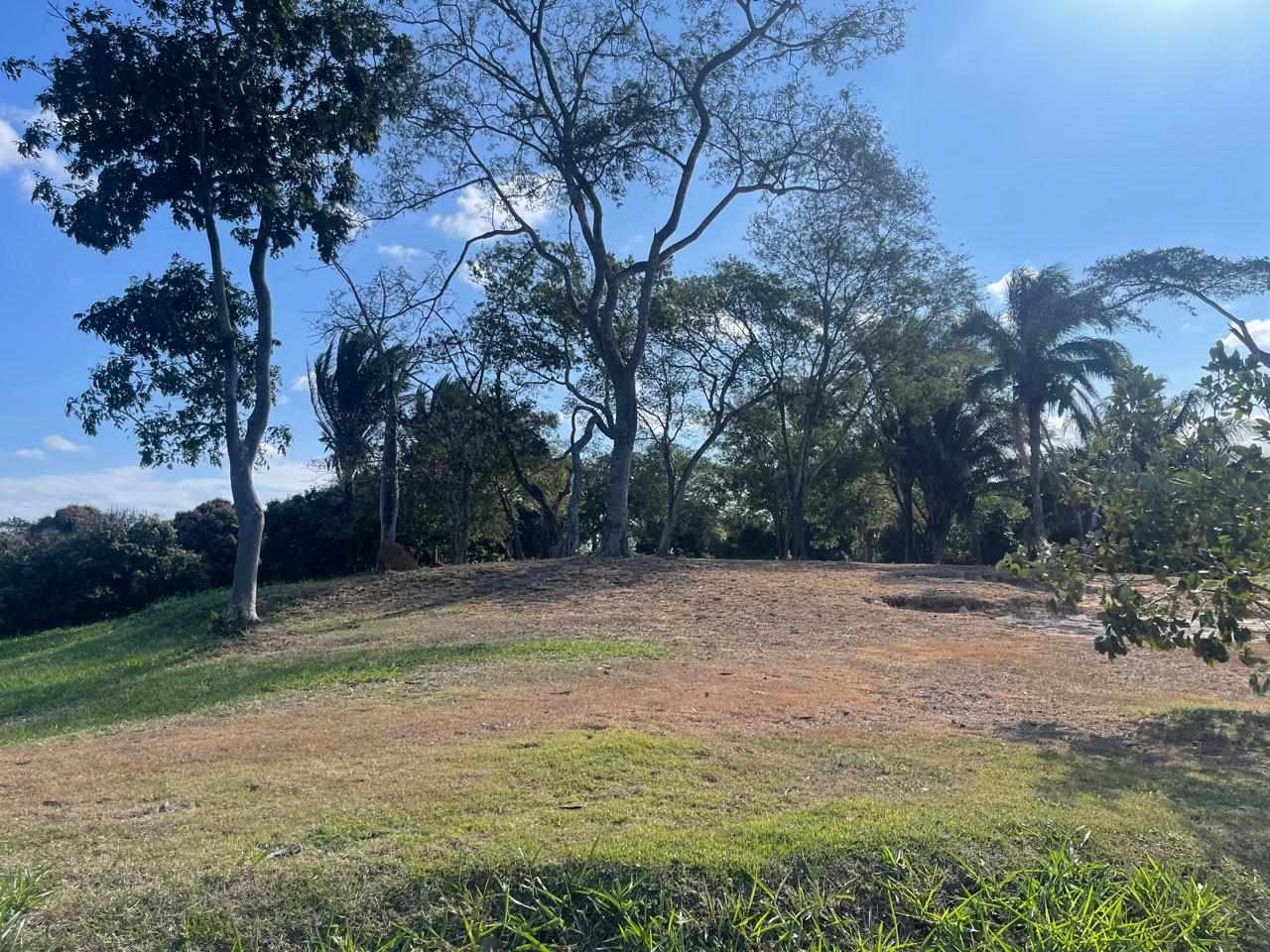 Terreno en VentaHermosos terrenos en altura en condominio Las Palmas del Urubo I    Foto 3