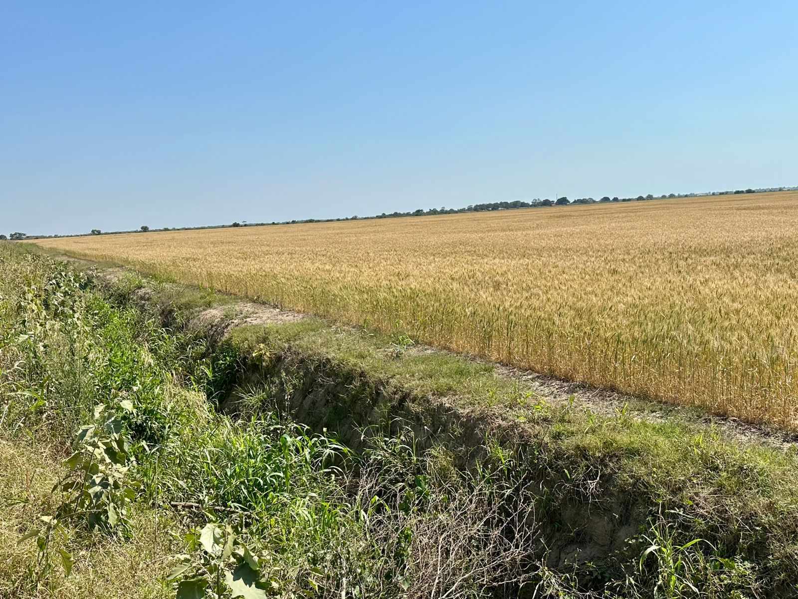 En Venta a $us 3,600,000 Foto 3