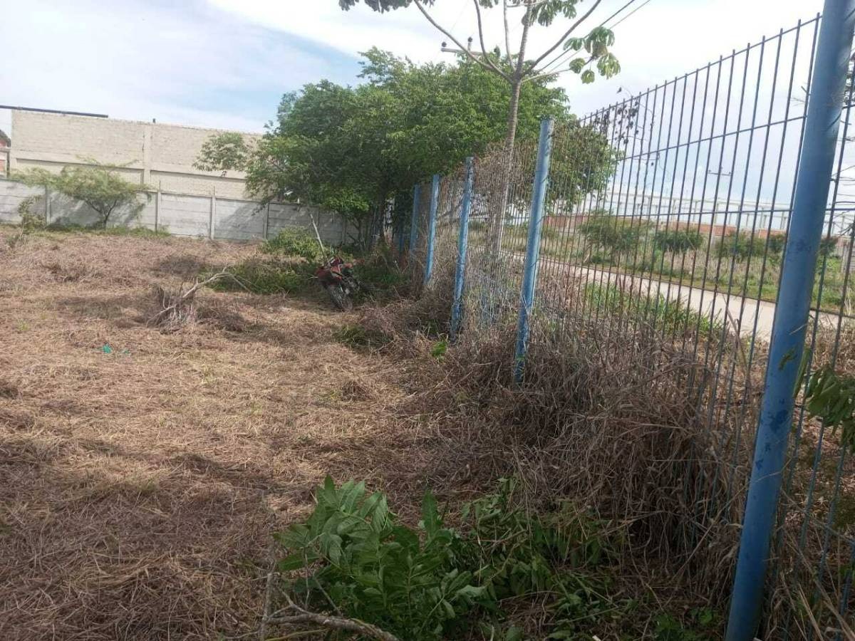 Terreno en VentaAv. G77 Foto 4