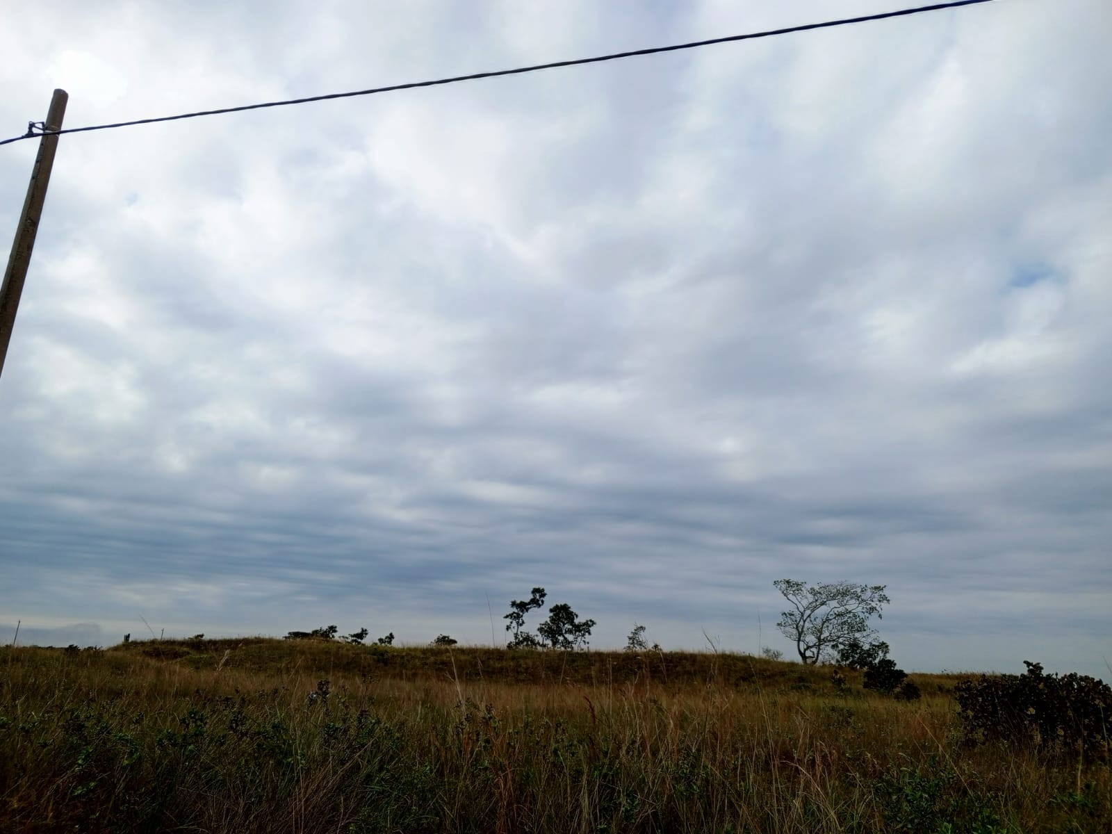 Terreno en VentaUrbanización ciudad del Urubo Foto 4