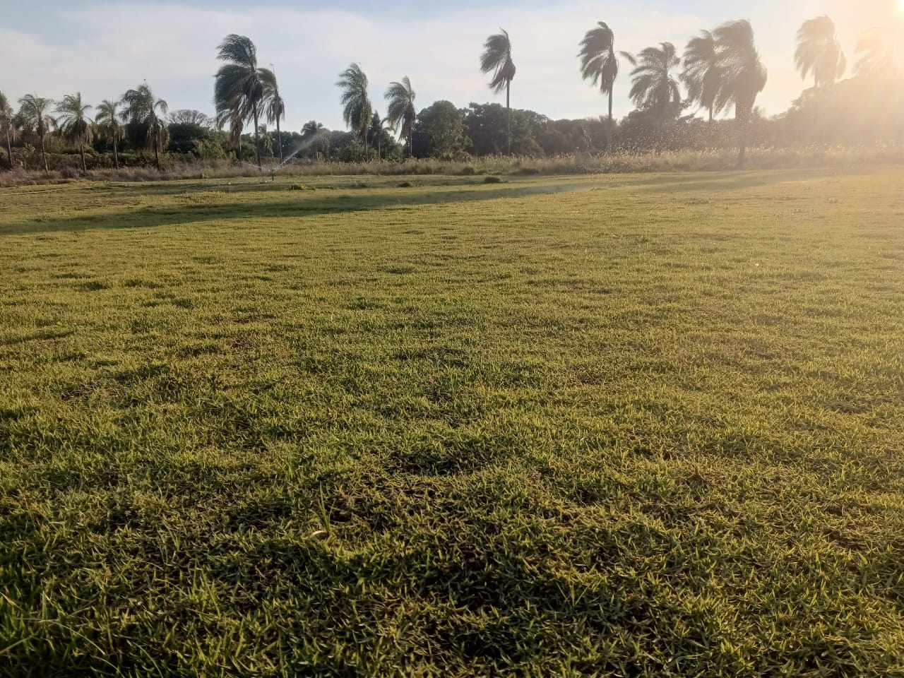 Terreno en Zona Nueva Santa Cruz en Santa Cruz de la Sierra    Foto 3
