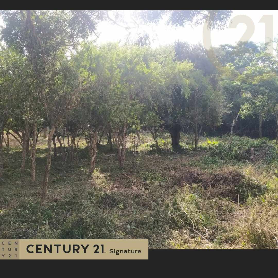 Quinta propiedad agrícola en VentaPROPIEDAD EN VENTA ZONA URUBO  Foto 6