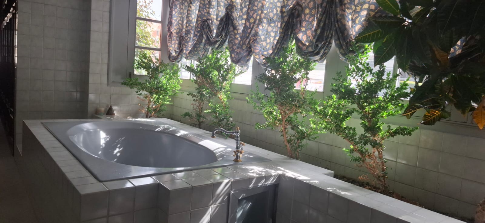 Casa en Los Pinos en La Paz 4 dormitorios 6 baños 4 parqueos Foto 9