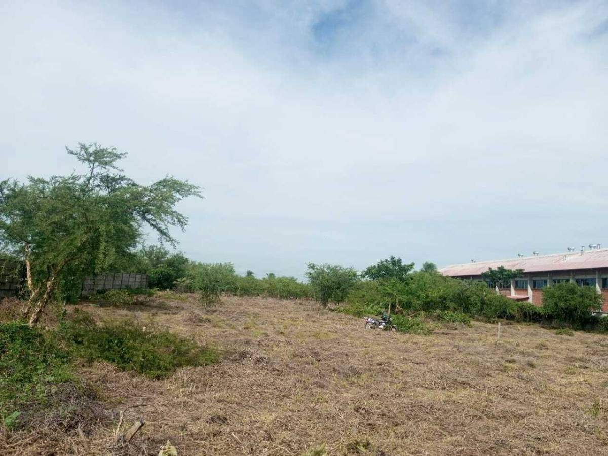 Terreno Av. G77 Foto 3