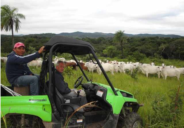 Terreno en VentaPropiedad ganadera en San Javier, 24km al oeste camino hacia El Puente    Foto 14