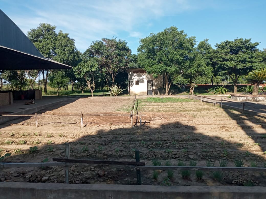 Quinta propiedad agrícola NORTE INTEGRADO, OKINAWA UNO. Foto 21