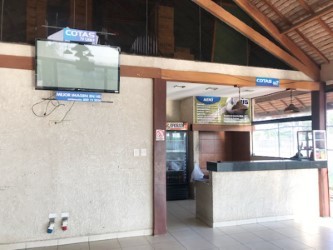 Terreno Av. Principal Porongo Foto 6