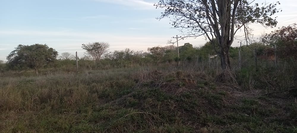 Terreno en VentaLocalidad: Puerto Suárez - Barrio: 3 de Mayo
Puerto Suárez - Bolivia. Foto 9