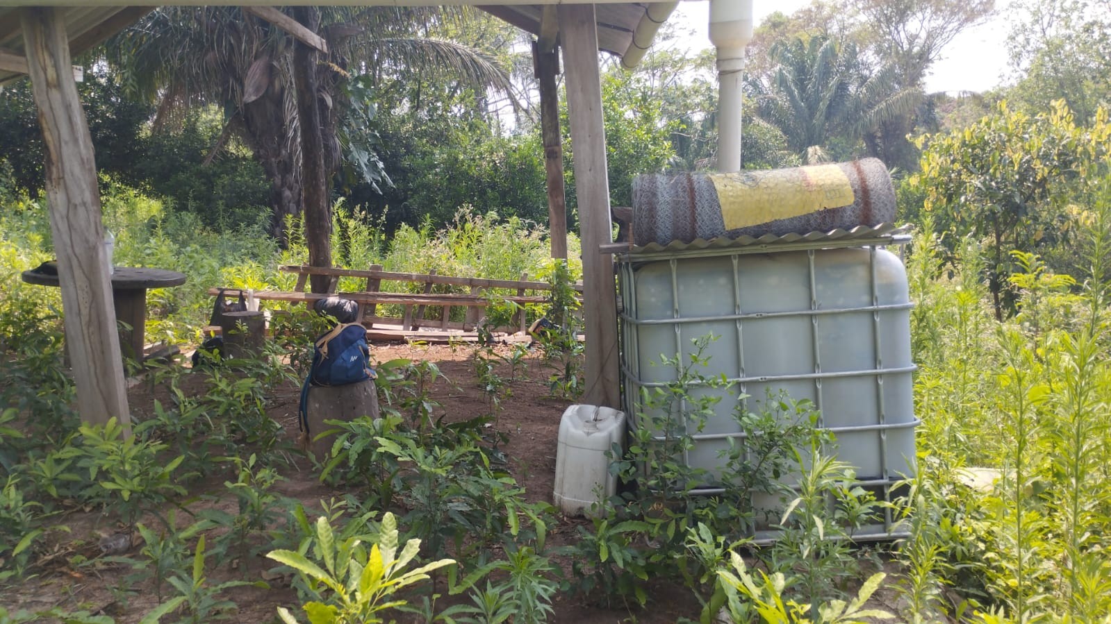 Quinta propiedad agrícola A 6km de Porongo, en la comunidad de Surutubia a 15mn de la plaza de Porongo Foto 10