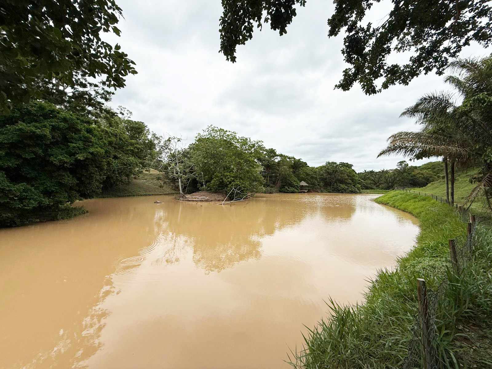Terreno en VentaCondominio Bella Flor    Foto 11