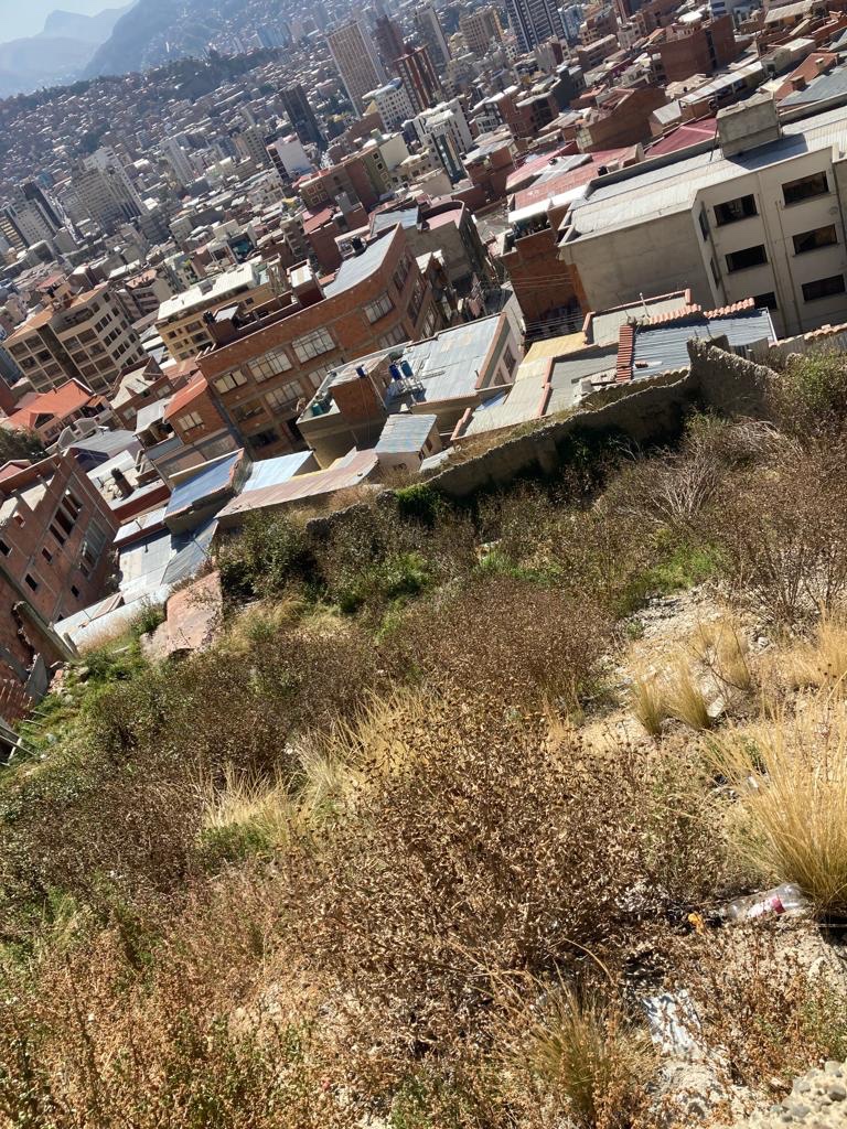 Terreno en San Pedro en La Paz    Foto 5