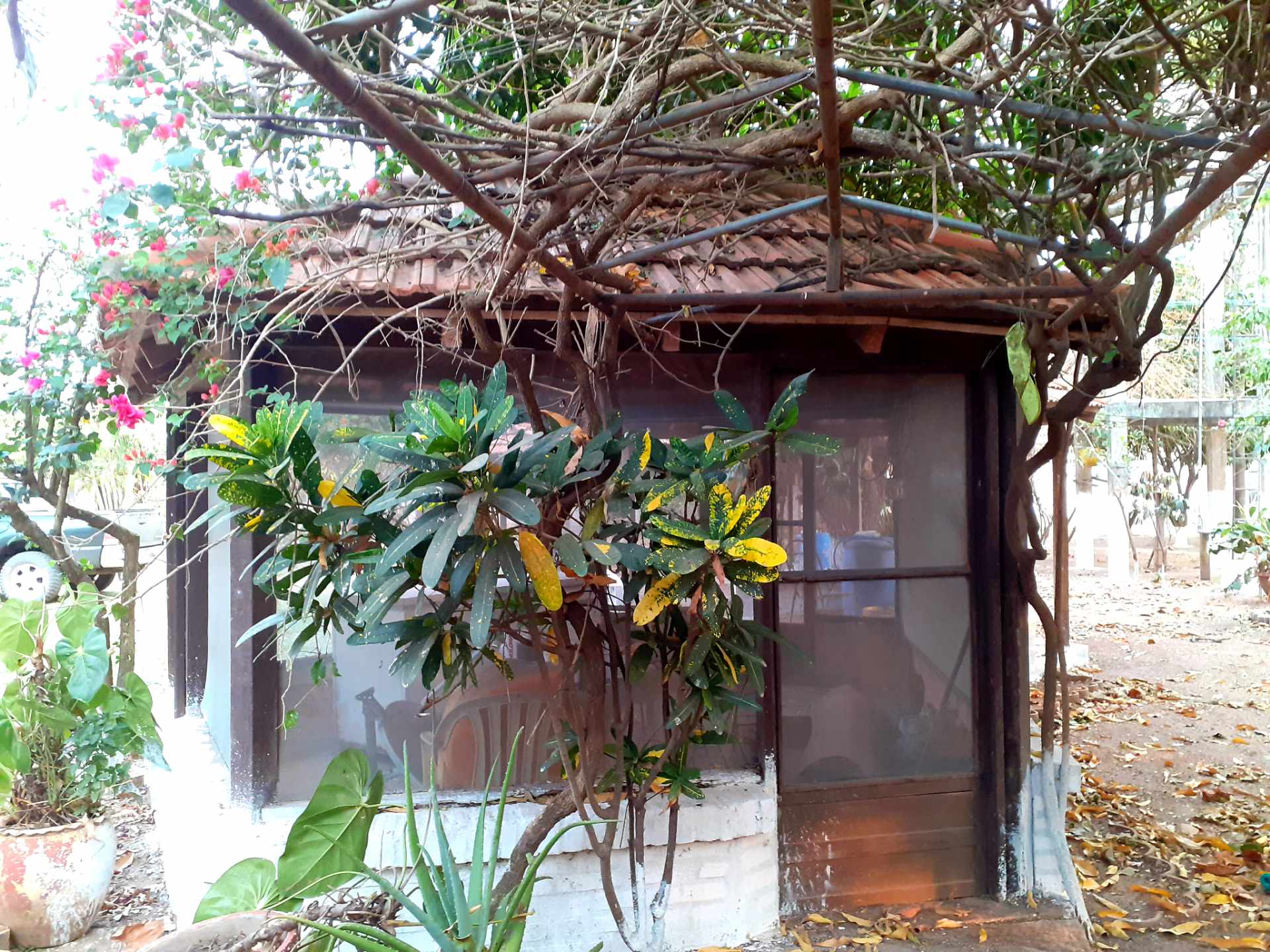 Quinta propiedad agrícola en Carretera Cotoca en Santa Cruz de la Sierra    Foto 4