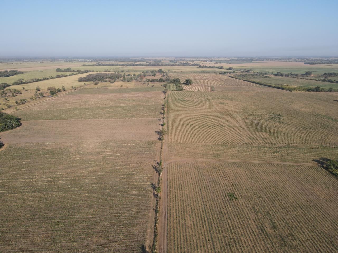 Quinta propiedad agrícola en VentaEn Venta
Propiedad con 100% producción cañera en Montero    Foto 2