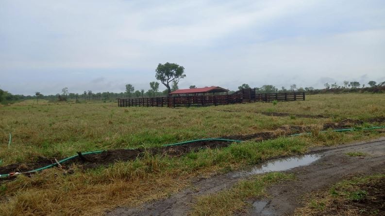 Quinta propiedad agrícola en Zona Nueva Santa Cruz en Santa Cruz de la Sierra    Foto 7