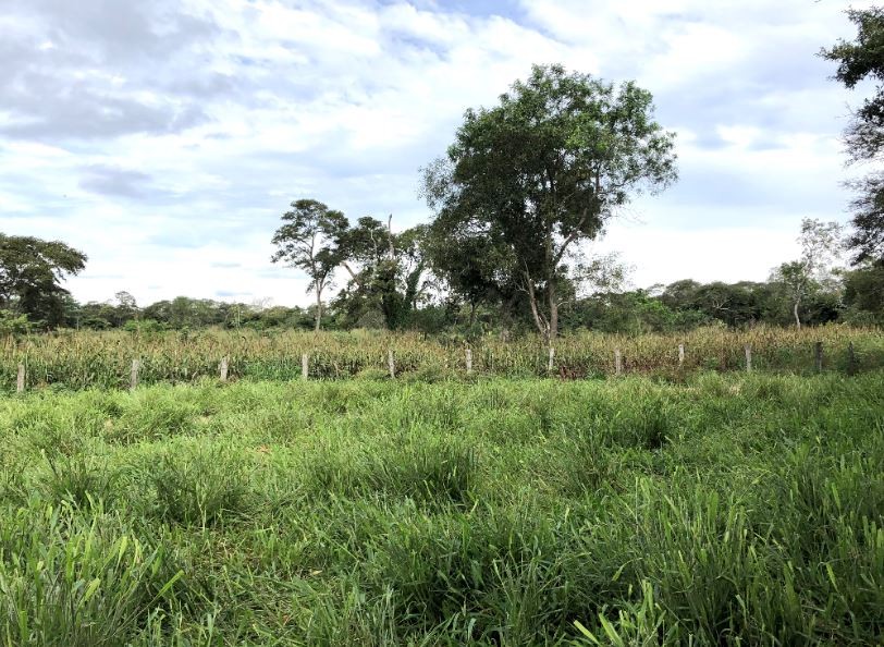 Quinta propiedad agrícola en VentaSan José de Chiquitos 723 Hectáreas (Ganadería/Agricultura) a 35 kms    Foto 3