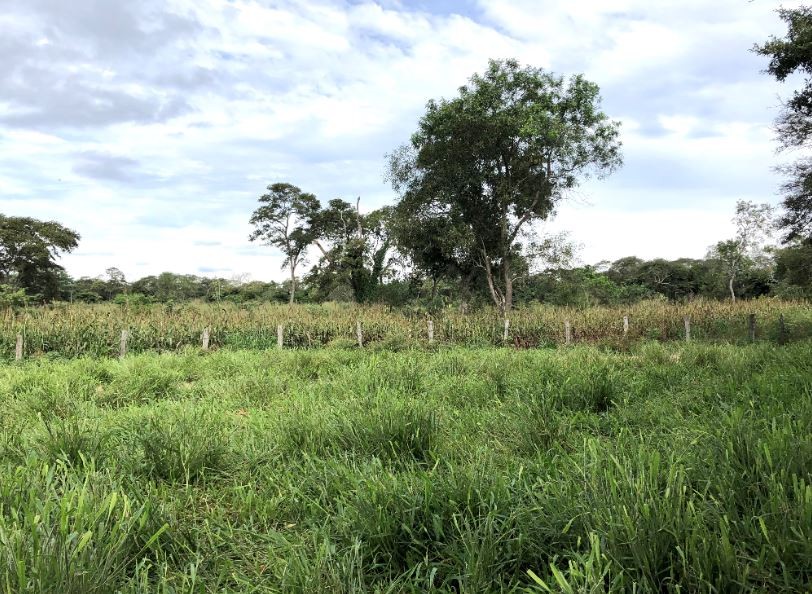 Quinta propiedad agrícola en Zona Nueva Santa Cruz en Santa Cruz de la Sierra    Foto 3