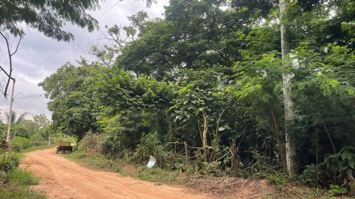 Terreno en Zona Nueva Santa Cruz en Santa Cruz de la Sierra    Foto 3