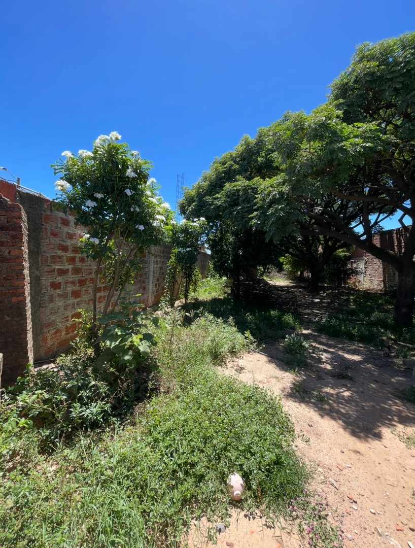 Terreno en VentaAv Internacional Panamericana     Foto 5