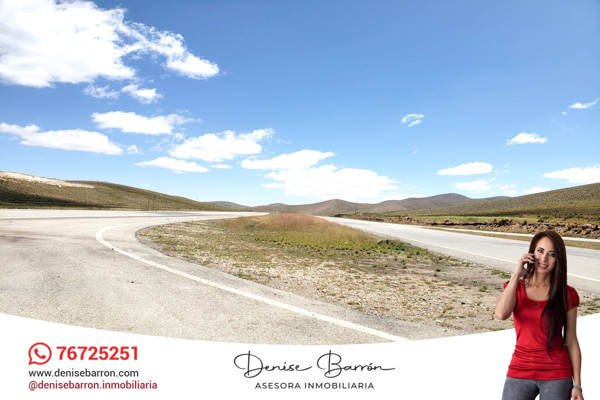 Terreno en VentaCARRETERA LA PAZ - ORURO, TERRENO EN VENTA EN VILA VILA    Foto 8