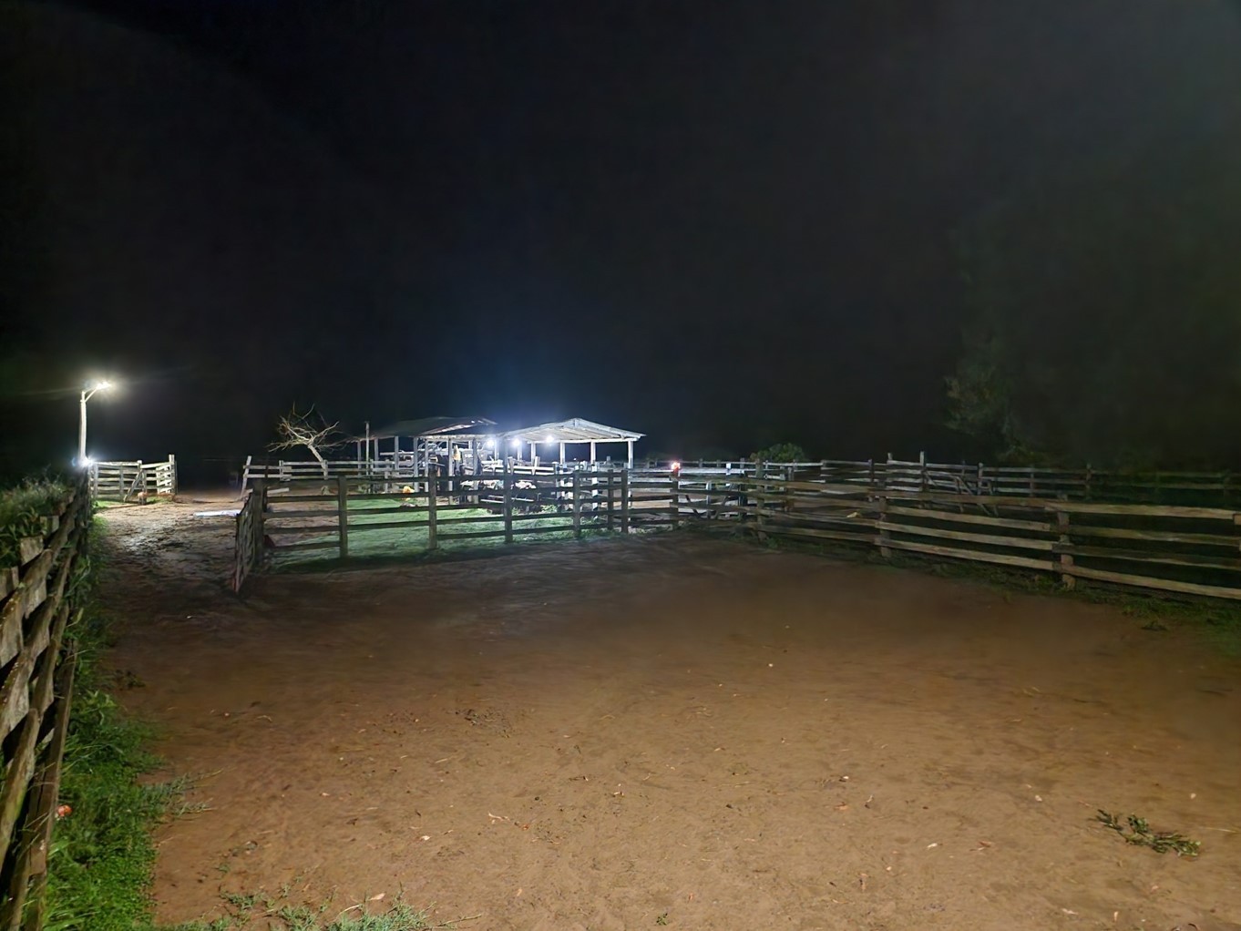 Quinta propiedad agrícola en VentaPROPIEDAD GANADERA EN EL MUNICIPIO DE SAN JAVIER Foto 10