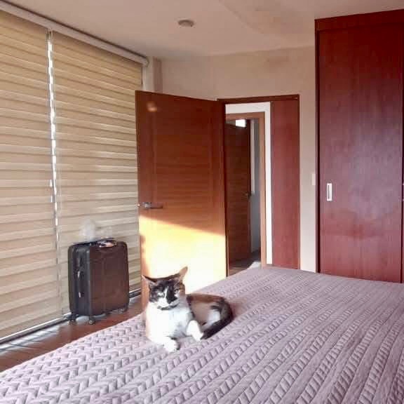 Departamento PENTHOUSE EN VENTA
LOS PINOS Foto 3