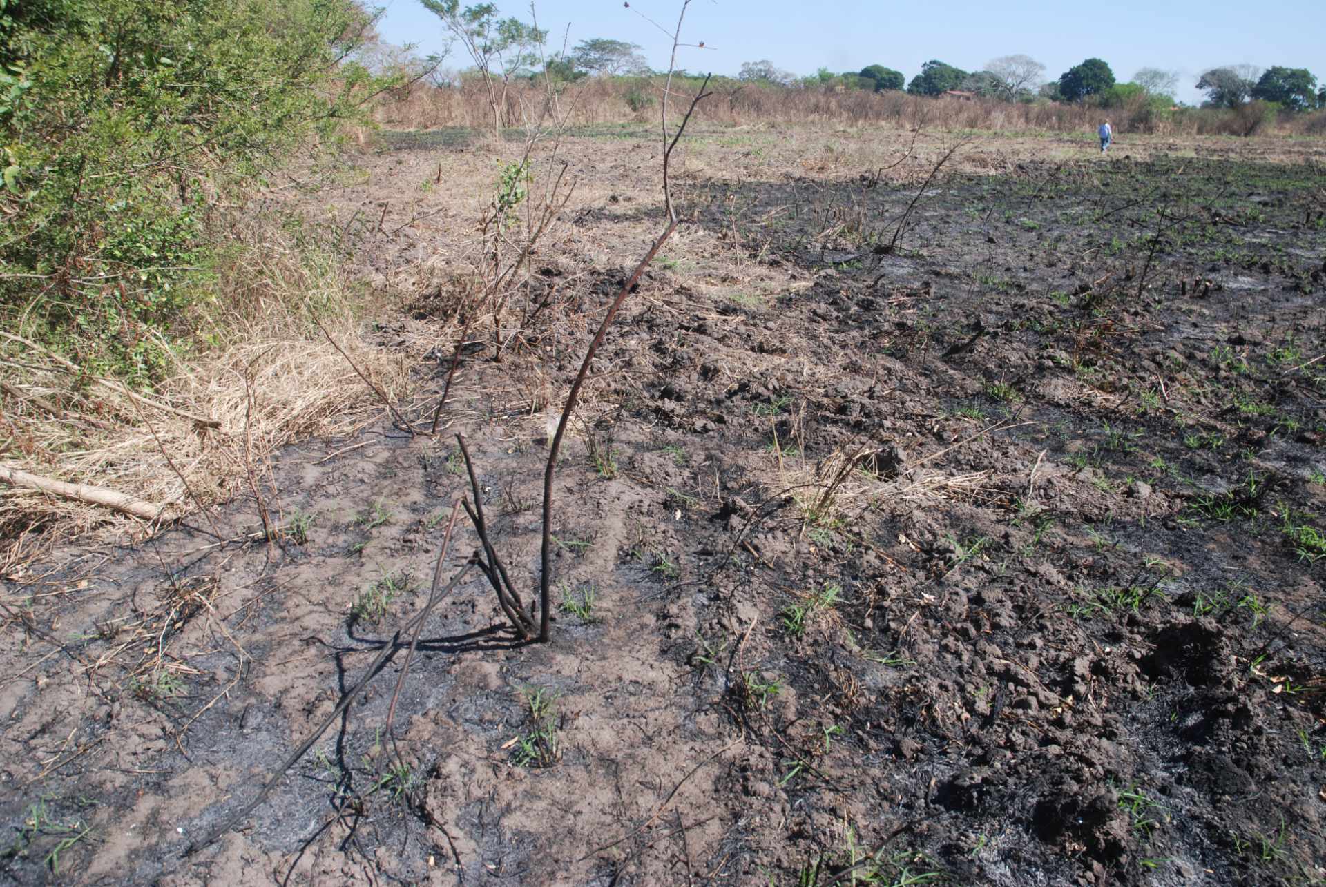 Terreno en VentaCotoca 2do anillo carretera a Pailon, cerca Cofrico Foto 8