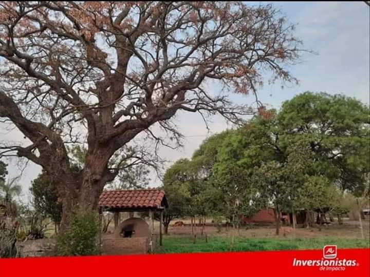Quinta propiedad agrícola en Carretera Cotoca en Santa Cruz de la Sierra    Foto 5