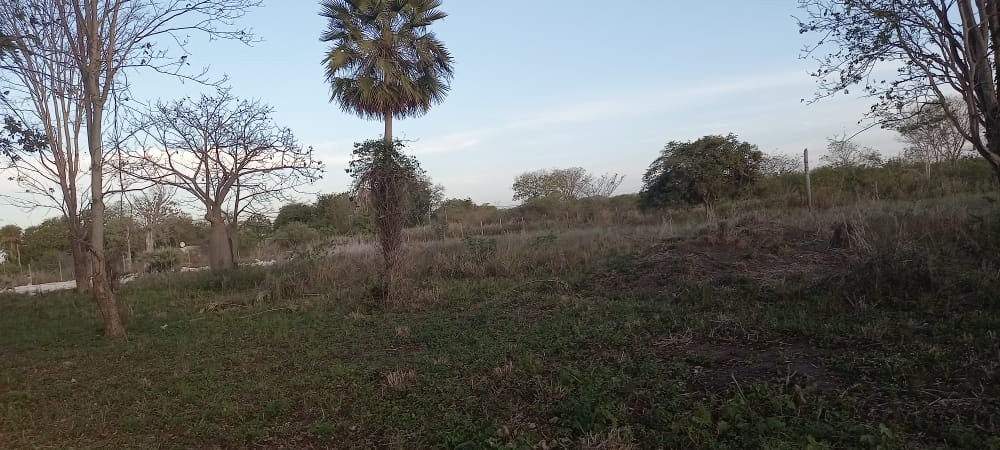 Terreno en VentaLocalidad: Puerto Suárez - Barrio: 3 de Mayo
Puerto Suárez - Bolivia. Foto 10