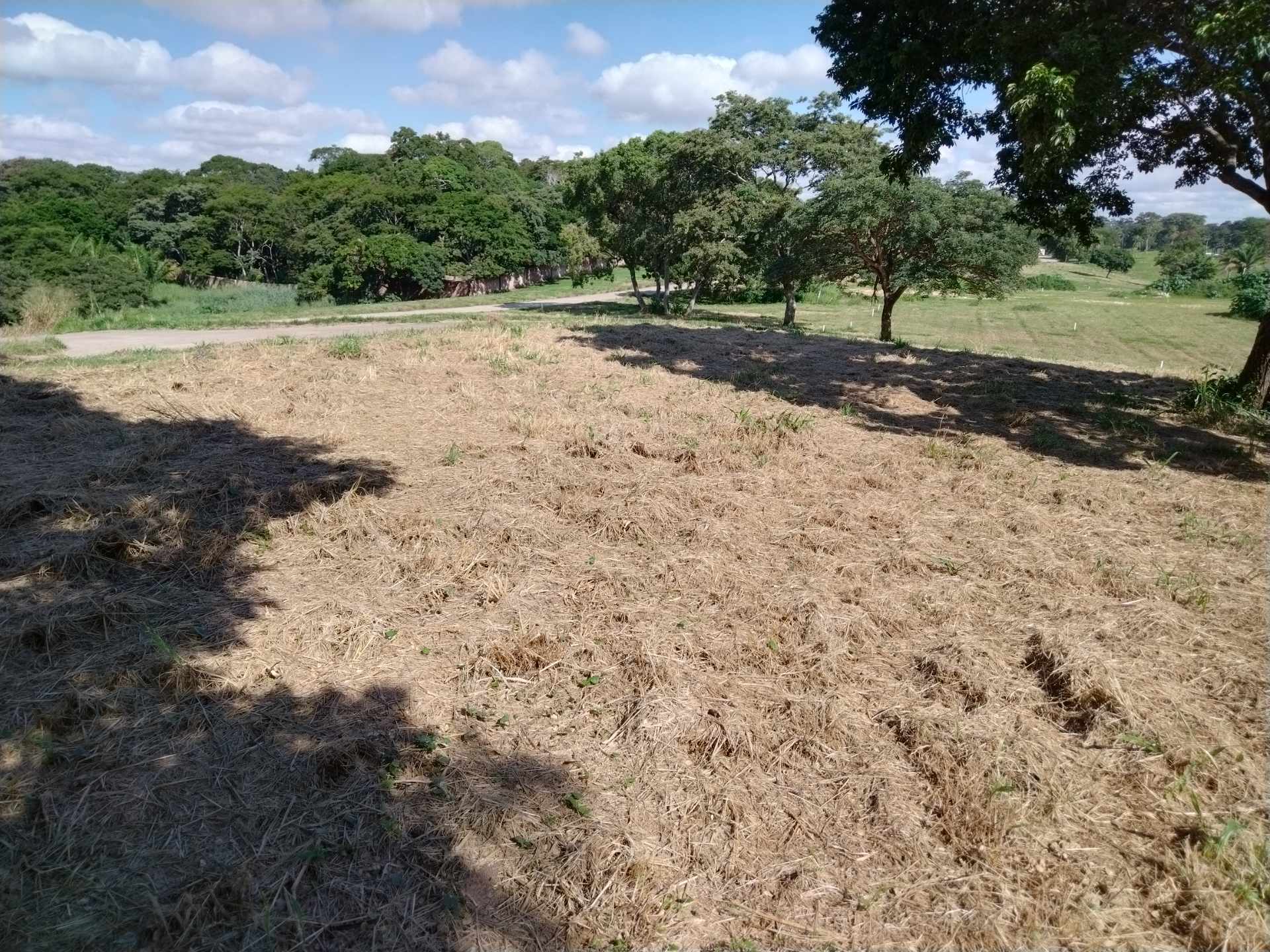 Terreno en VentaCOLINAS DEL URUBO LAS PALMERAS/SECTOR LOMERÍO    Foto 2
